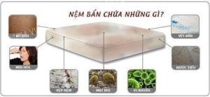Dịch vụ giặt sofa nệm thảm tại Vũng Tàu
