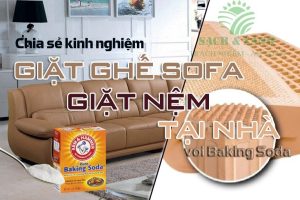 Cách vệ sinh ghế sofa tại nhà Cách vệ sinh ghế sofa tại nhà