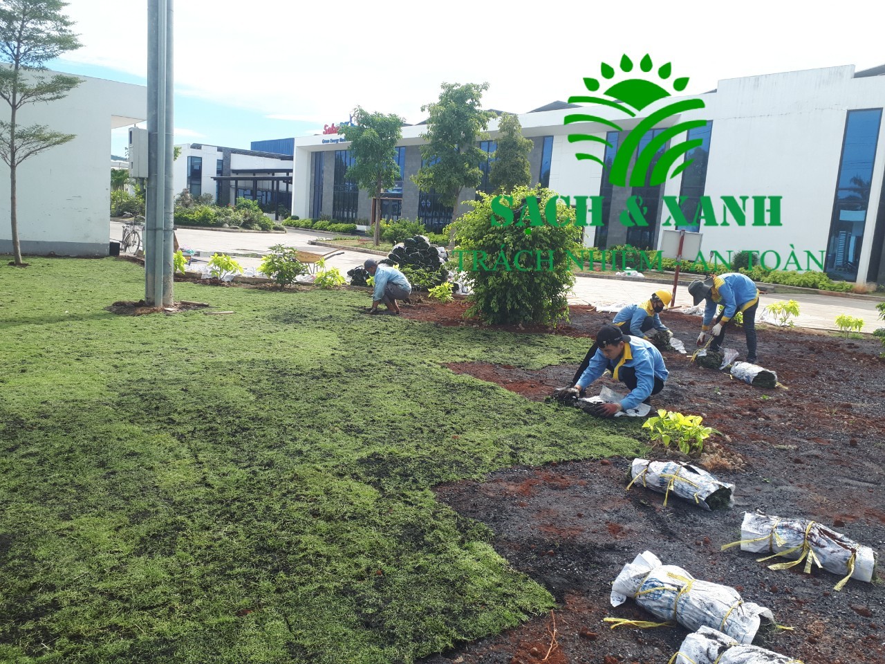 Dịch vụ chăm sóc cây xanh tại Phú Mỹ