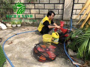 Dịch vụ vệ sinh nhà ở tại Vũng Tàu