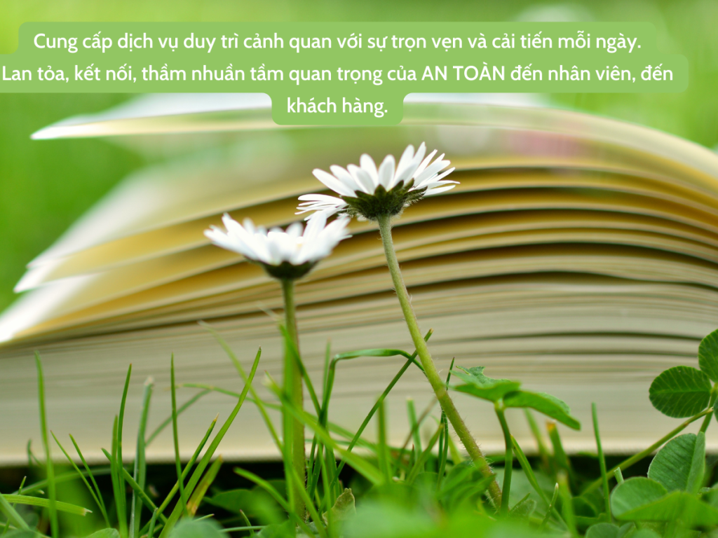 Vệ sinh công nghiệp Sạch và Xanh Vũng tàu