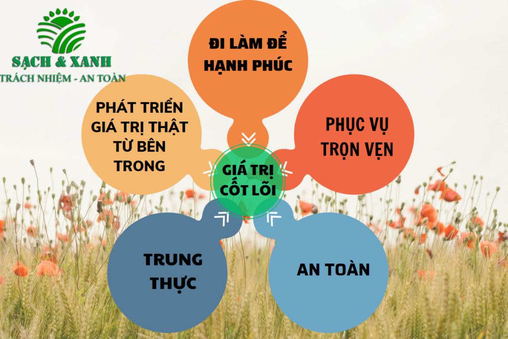 Vệ sinh công nghiệp Sạch và Xanh Vũng tàu