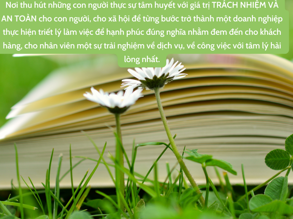 Vệ sinh công nghiệp Sạch và Xanh Vũng tàu
