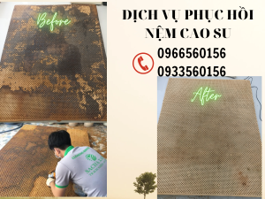 phục hồi nệm cao su tại Vũng Tàu