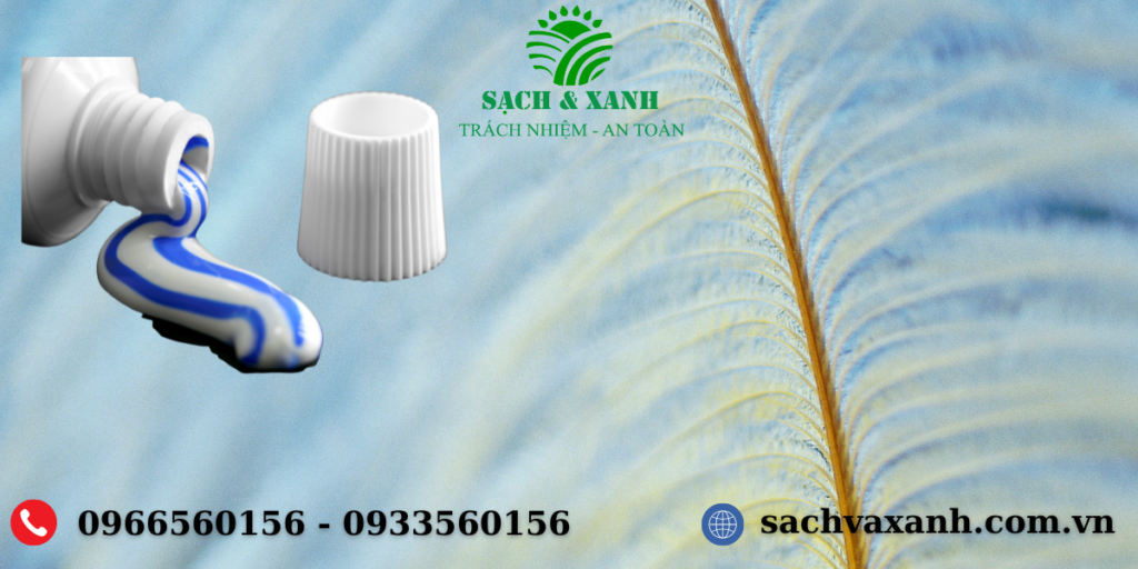 Vệ sinh công nghiệp Sạch và Xanh Vũng tàu