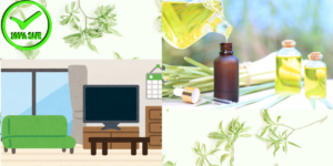 Làm sạch sàn nhà bằng tinh dầu