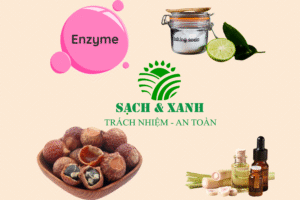 7 mẹo dùng enzym bồ hòn giúp làm sạch nhà cửa an toàn Enzym bồ hòn – chất tẩy rửa tự nhiên an toàn, không hóa chất. Khám phá mẹo vệ sinh nhà cửa bằng enzym bồ hòn cho lối sống xanh bền vững.