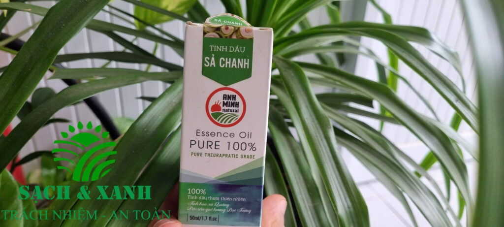 5 Mẹo Dùng Tinh Dầu Chống Muỗi Hiệu Quả Tại Nhà – An Toàn Cho Trẻ Nhỏ 1 Meo dùng tinh dầu chống muỗi hiệu quả