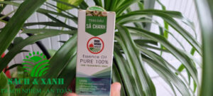 Vệ sinh công nghiệp Sạch và Xanh Vũng tàu