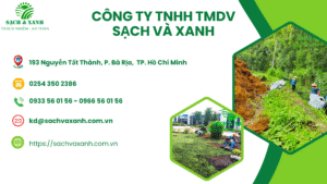 Dịch vụ chăm sóc cây xanh tại khu công nghiệp Phú Mỹ