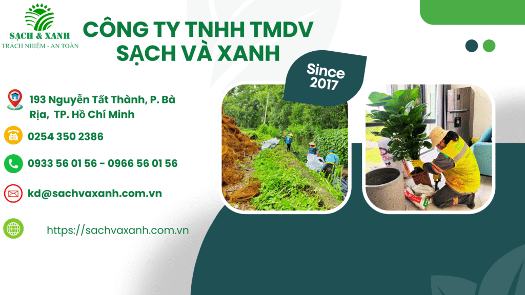 Dịch vụ chăm sóc cây xanh cho khu công nghiệp Phú Mỹ