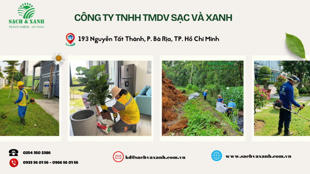Chăm sóc cây xanh doanh nghiệp chăm sóc cây xanh doanh nghiệp