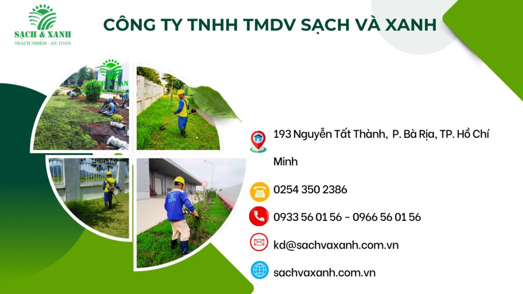 Chăm sóc cây xanh doanh nghiệp Chăm sóc cây xanh chuyên nghiệp