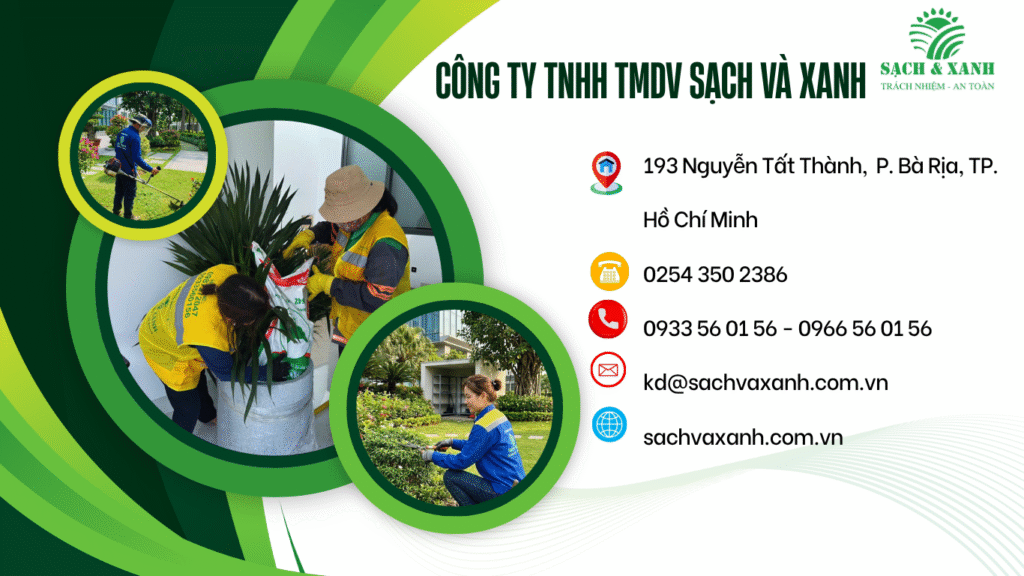 Chăm sóc cây xanh doanh nghiệp chăm sóc cây xanh doanh nghiệp