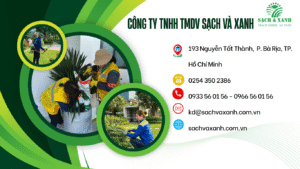 chăm sóc cây xanh doanh nghiệp